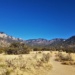 2018-Hiking in the Sandia Mountains